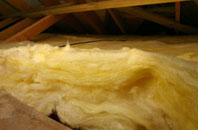 Medlar pitch roof insulation